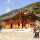 법수초등학교 이미지