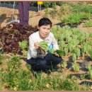 현정농장 이미지