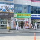 진영냥이 이미지