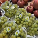 라인청과식품마트 | 구미새마을중앙시장에 위치한 구미과일가게 사계절청과