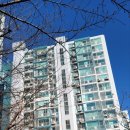 사임당로17길 116 | 서초구 방문교체비용 - 서초삼성래미안아파트 방문짝교체 시공후기