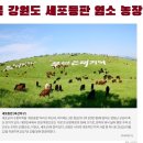 북강원도 세포 등판 염소 농장과 만주 일대 여행을 계획하는 NJ 한인 이미지
