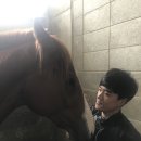 스타인목장 이미지