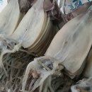 해뜨는장 이미지