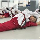 명품 태권도 이미지