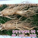 인삼한채