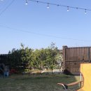 청하감성독채펜션 이미지