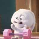 터짐휘트니스 PT 부천중동점 이미지