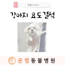 온정동물병원 이미지