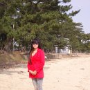 나로도민박 이미지