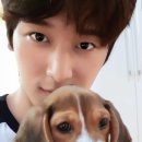 해피댕댕이 이미지