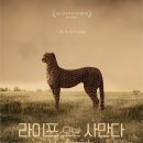 이번주 'SBS 스페셜' 결방, 다큐멘터리 '라이프 오브 사만다' 스페셜 편성 이미지