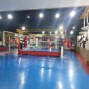 프라임복싱클럽 이미지