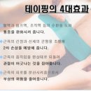 양태극권 이미지