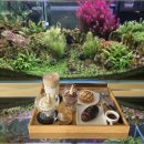 태미목장 이미지