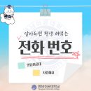 알아두면 평생 써먹는 전화번호 모음 알려드립니다!