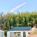 리스테이 이미지