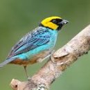 동성아파트(남) 이미지