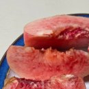 이례농장 이미지