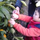 민용농장 이미지