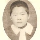 금산인삼102호