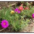 한산파출소 이미지