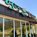 언덕위에 | 경북 칠곡 돈까스맛집 수제돈가스 약목 언덕위에봄날 웨이팅 후기