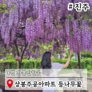 원당주공아파트 놀이터 | 진주근처가볼만한곳 상봉주공아파트 등나무꽃 경남 4월 봄나들이