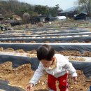 승원농장 이미지