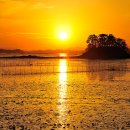 순천만 여행 이미지