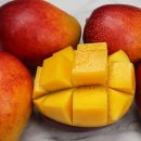 애플망고 이미지