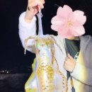 블루오션민박 이미지