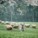 상상목장 이미지