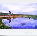 연못이 있는 풍경 이미지