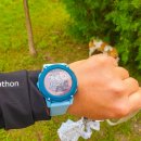 월출밧데리 이미지