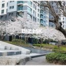 아크로원베일리공인중개사사무소 이미지