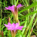 용담초교 이미지