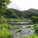 불매곡지 이미지