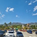 참신렌트카여행사 이미지