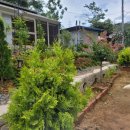 약돌농장 이미지