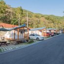 진밭골야영장 이미지