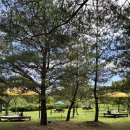 가원습지생태자연공원 | [동해]아이랑 나들이 가기 좋은, 가원습지생태자연공원