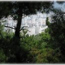 동대부속유치원 이미지