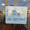 야옹이돈까스 이미지