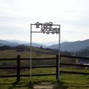 슬기목장 티스토리