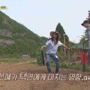 신혜농장 네이버블로그