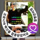 이재순내과의원 이미지