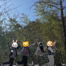 공주계곡이레캠핑장