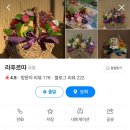 스완즈에그 이미지