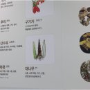 평일한의원 이미지
